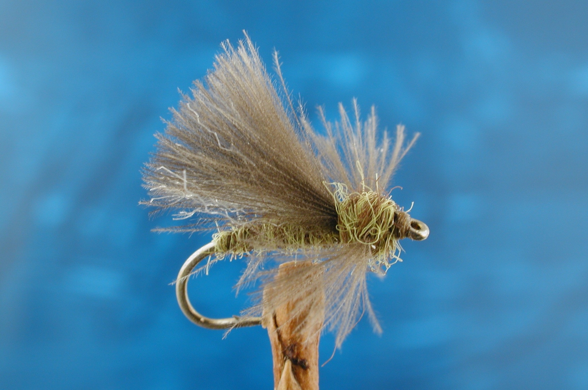 Olive CDC Adult Caddis Fly Fishing Flies with Fish4Flies Worldwide